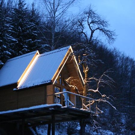 Tree House - Tara Place Мойковац Экстерьер фото