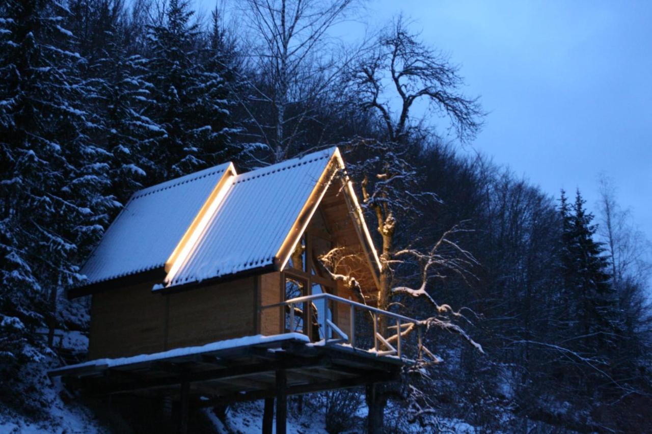 Tree House - Tara Place Мойковац Экстерьер фото