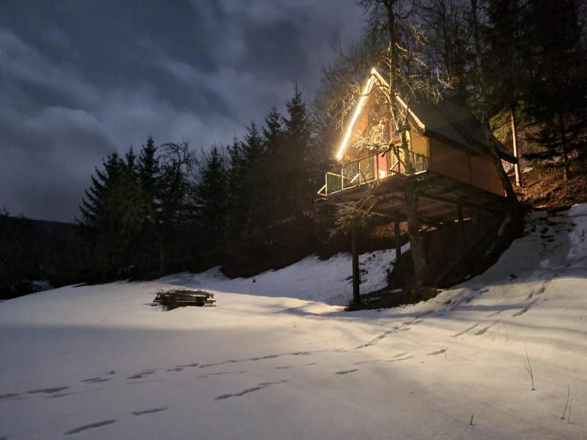 Tree House - Tara Place Мойковац Экстерьер фото