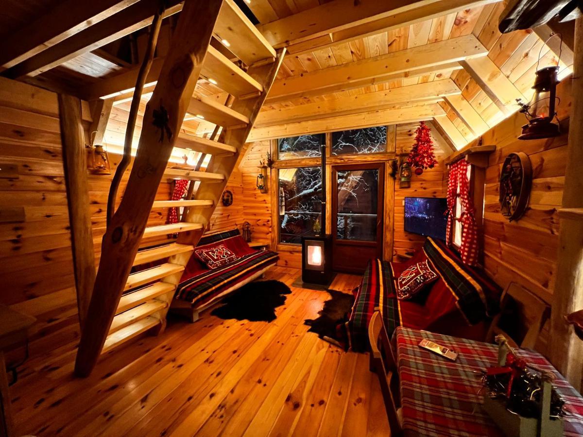 Tree House - Tara Place Мойковац Экстерьер фото